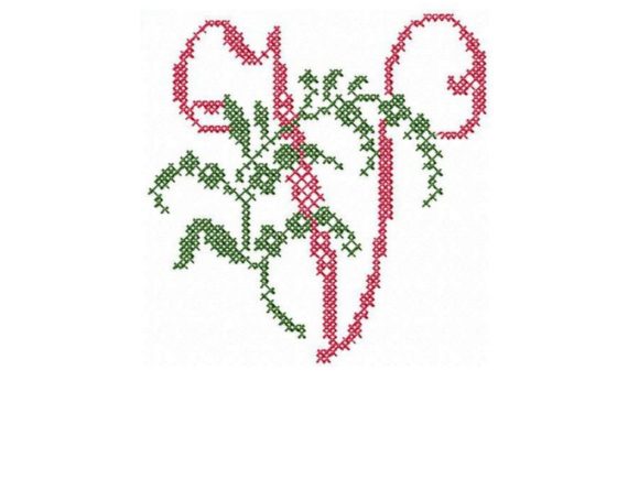 Monogram Letter V: A Designer’s Holiday Review