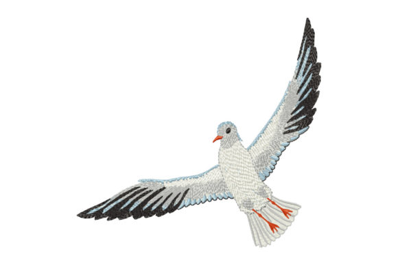 Sea Gull Bird in Flight: A Designer’s Review